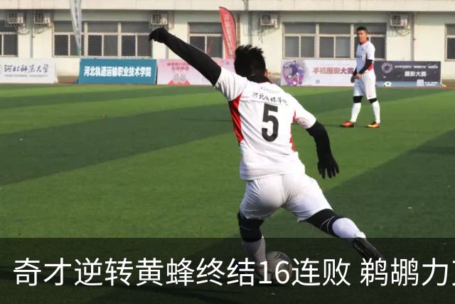 奇才逆转黄蜂终结16连败 鹈鹕力克76人3连胜